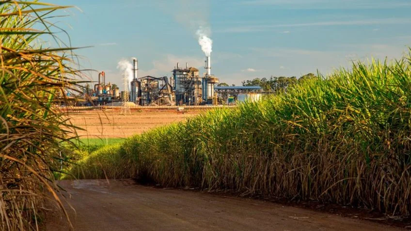 Grupo Maringá investe R$ 120 milhões em geração de energia com biomassa